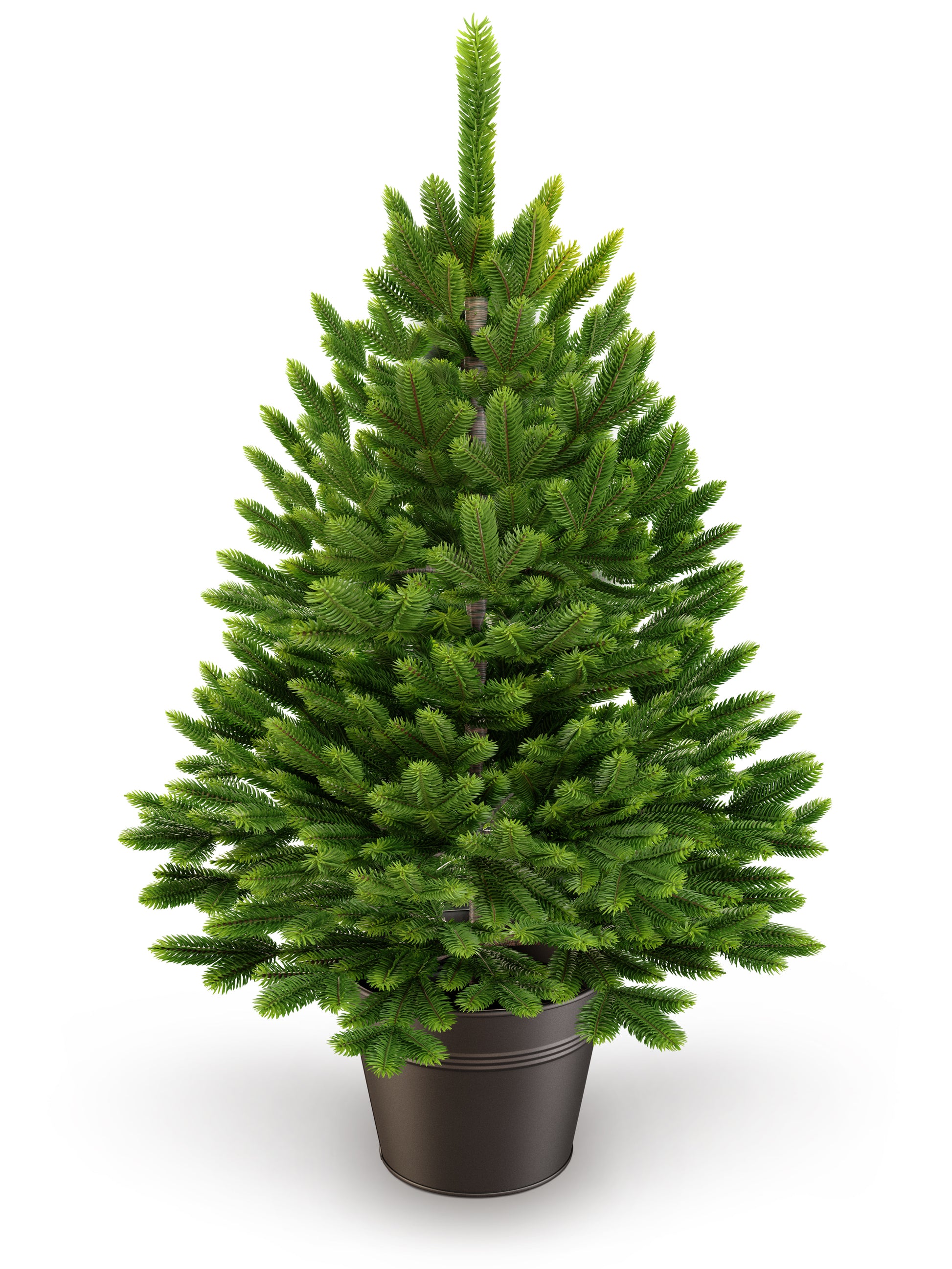 ArtiTree® 80cm - Weihnachtsbaum Topf Tanne Premium im Künstlicher