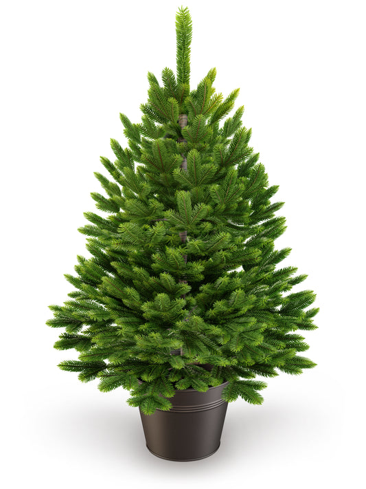 ArtiTree® Künstlicher Weihnachtsbaum im Topf - Premium Tanne 80cm