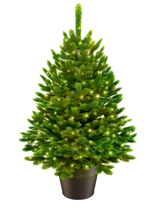 ArtiTree® Premium fir tree in pot with integrated fairy lights